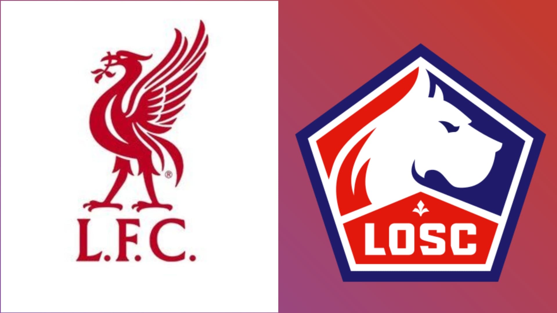 The badges of Liverpool and Lille